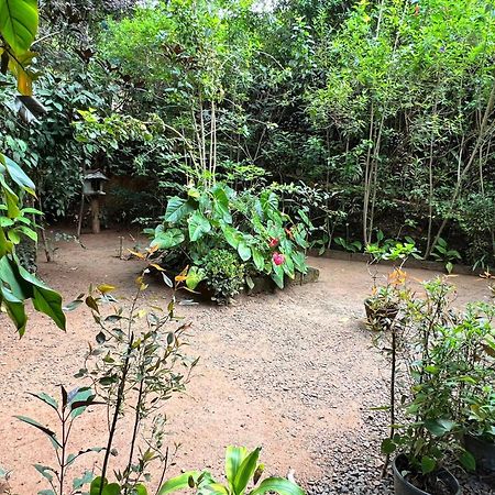 Ella Secret Paradise Luaran gambar