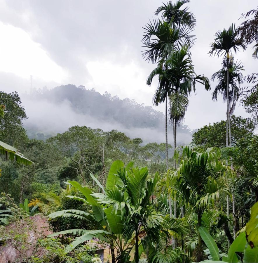 Ella Secret Paradise Luaran gambar