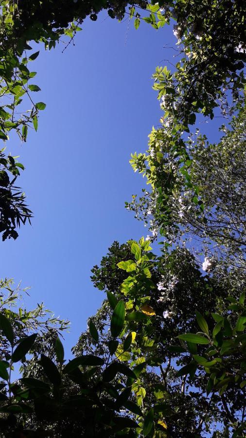 Ella Secret Paradise Luaran gambar