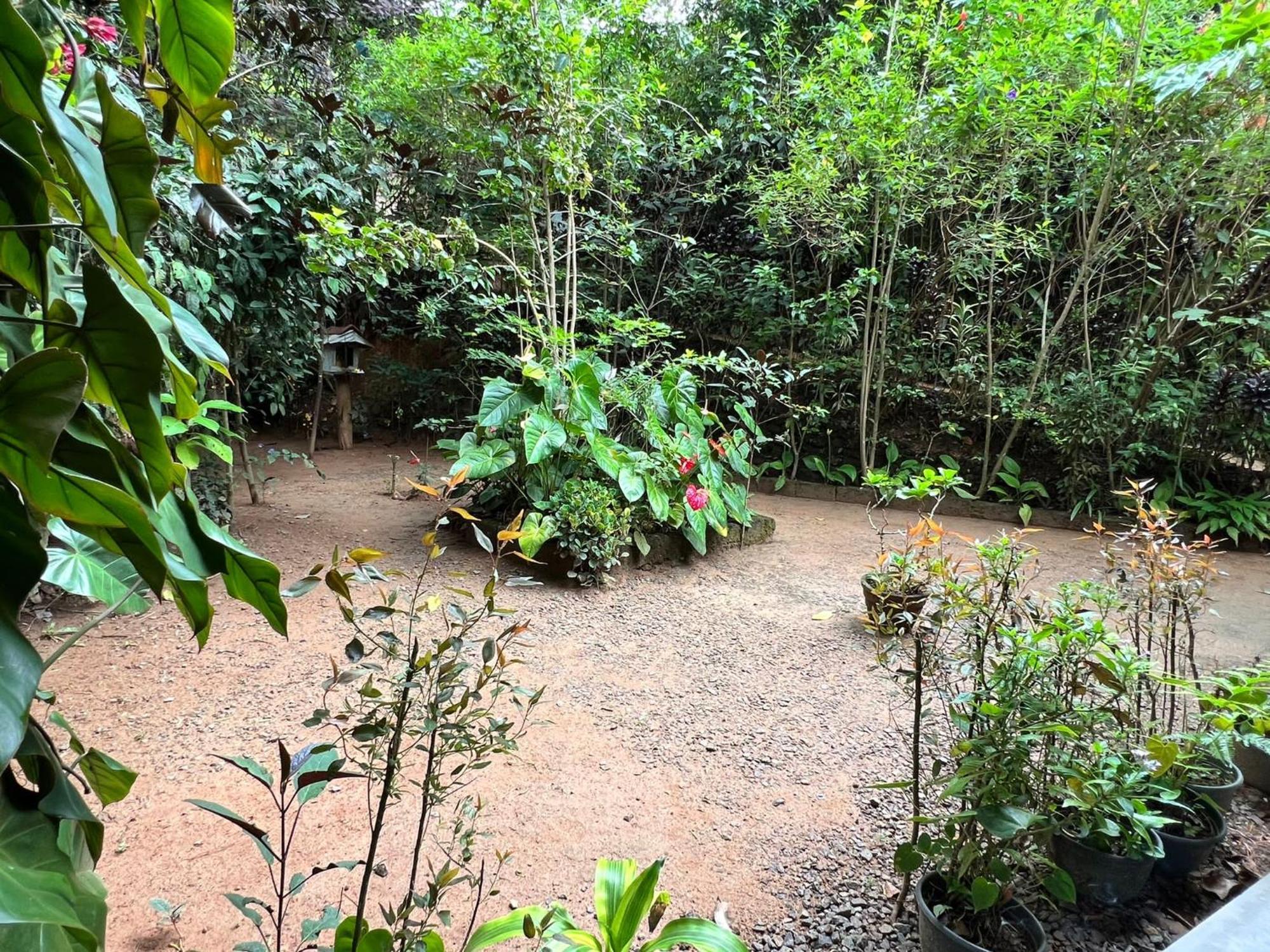 Ella Secret Paradise Luaran gambar