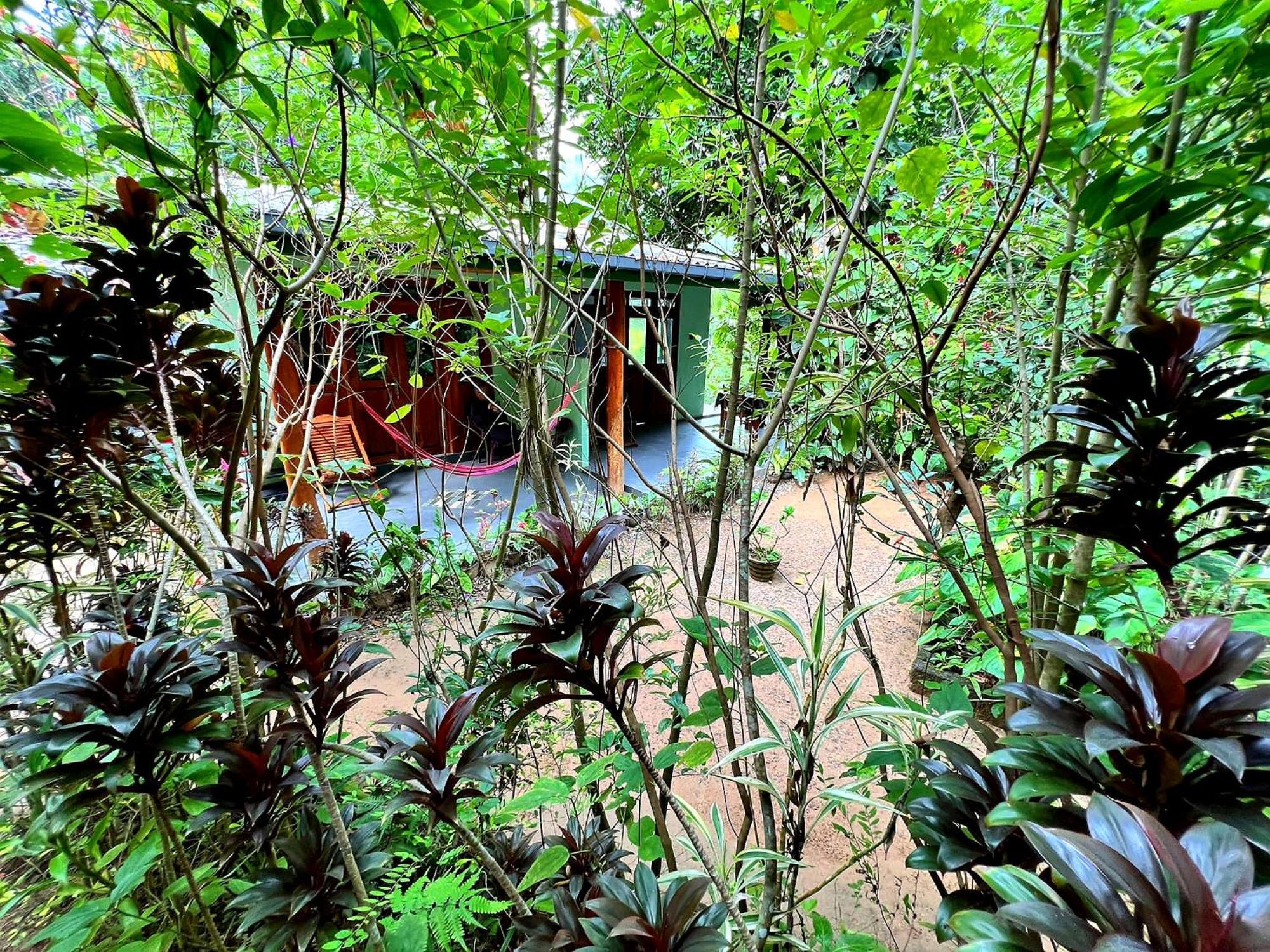 Ella Secret Paradise Luaran gambar