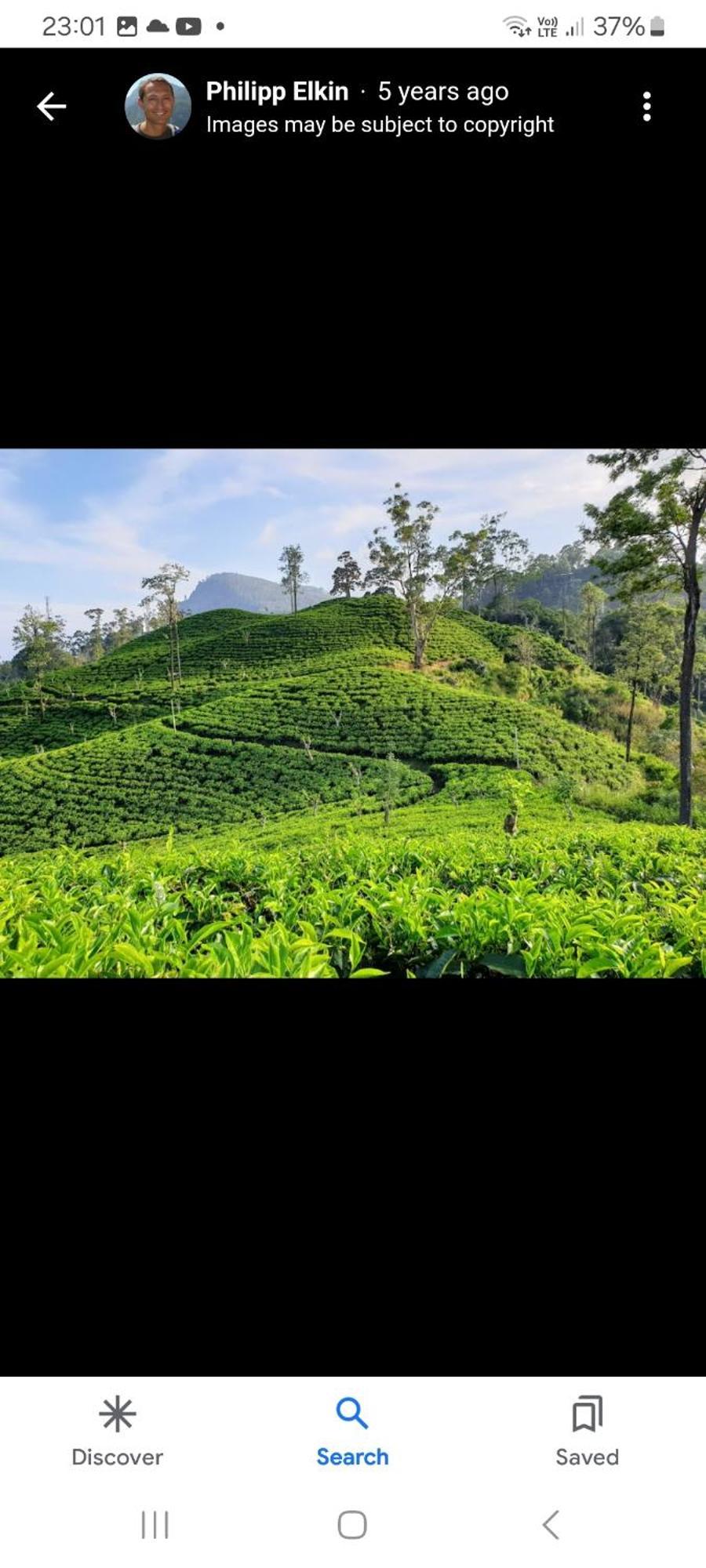 Ella Secret Paradise Luaran gambar