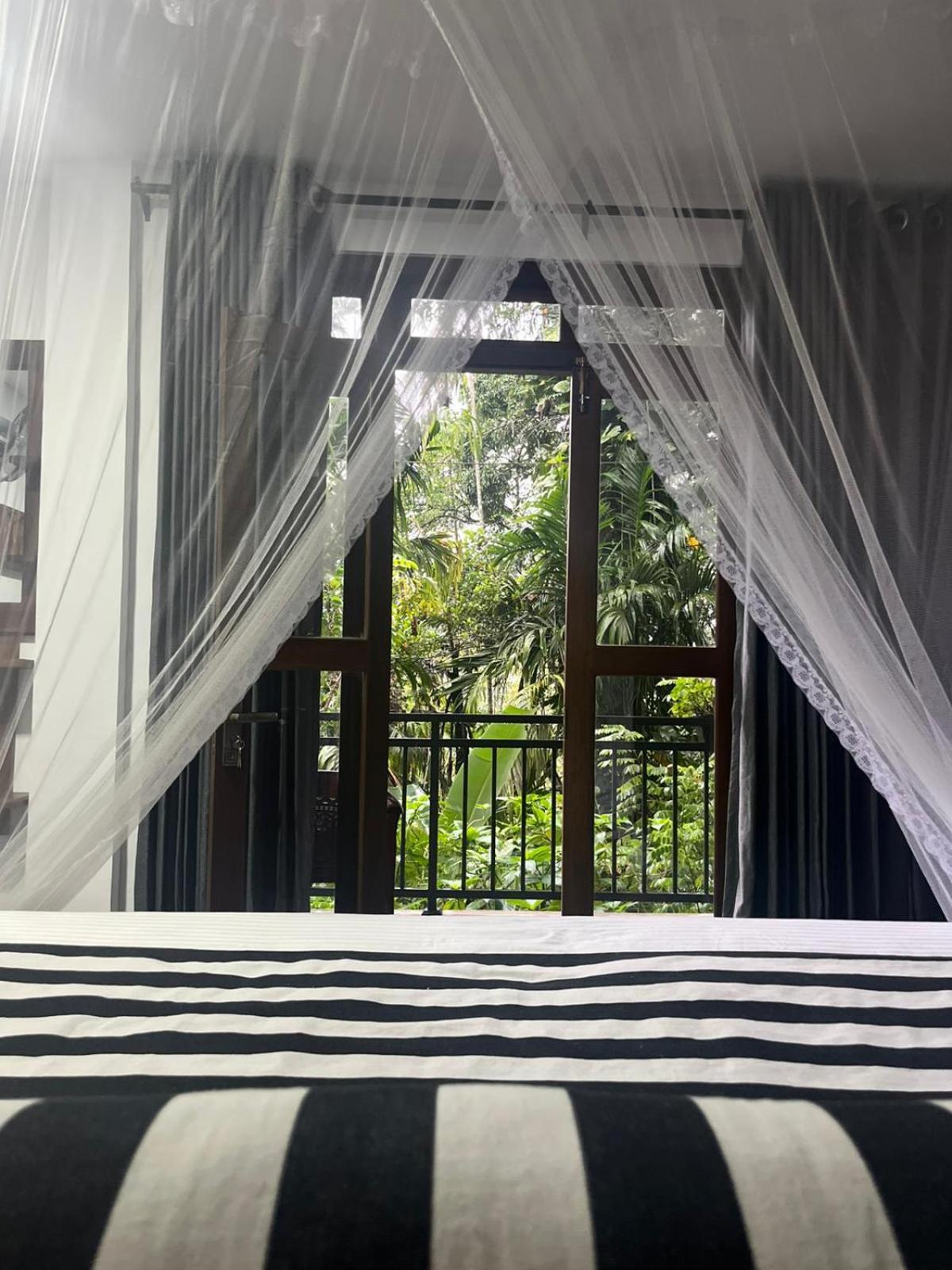 Ella Secret Paradise Bilik gambar