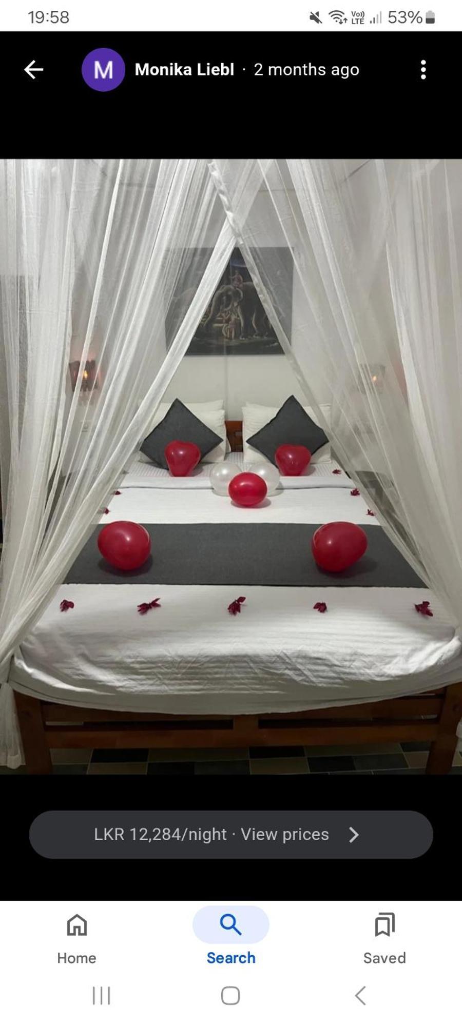 Ella Secret Paradise Bilik gambar