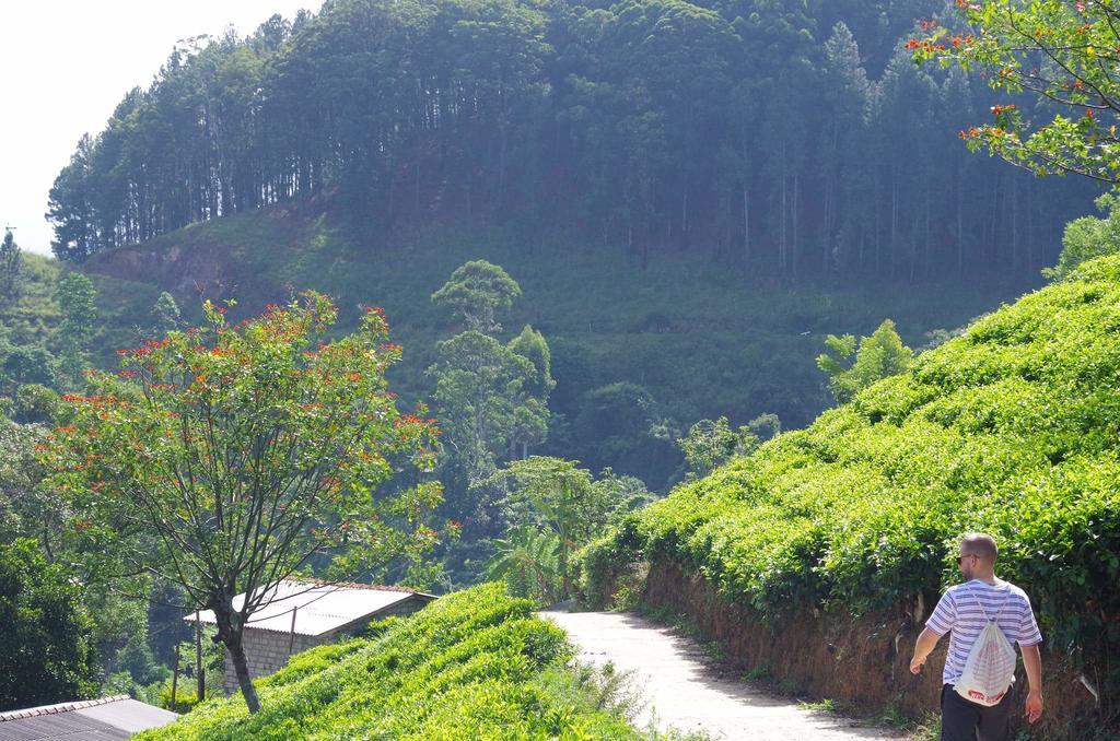Ella Secret Paradise Luaran gambar
