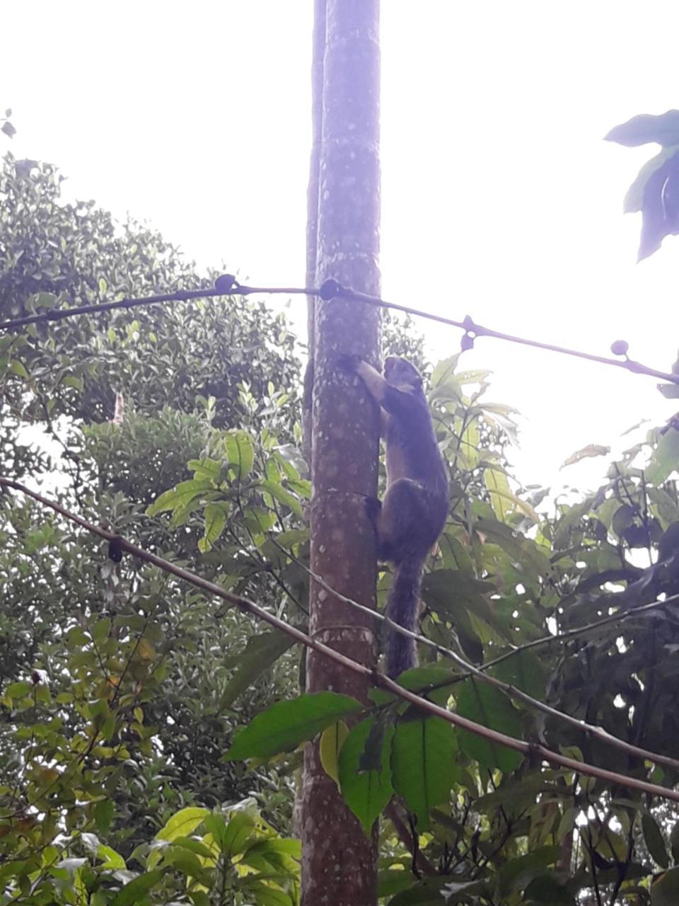 Ella Secret Paradise Luaran gambar
