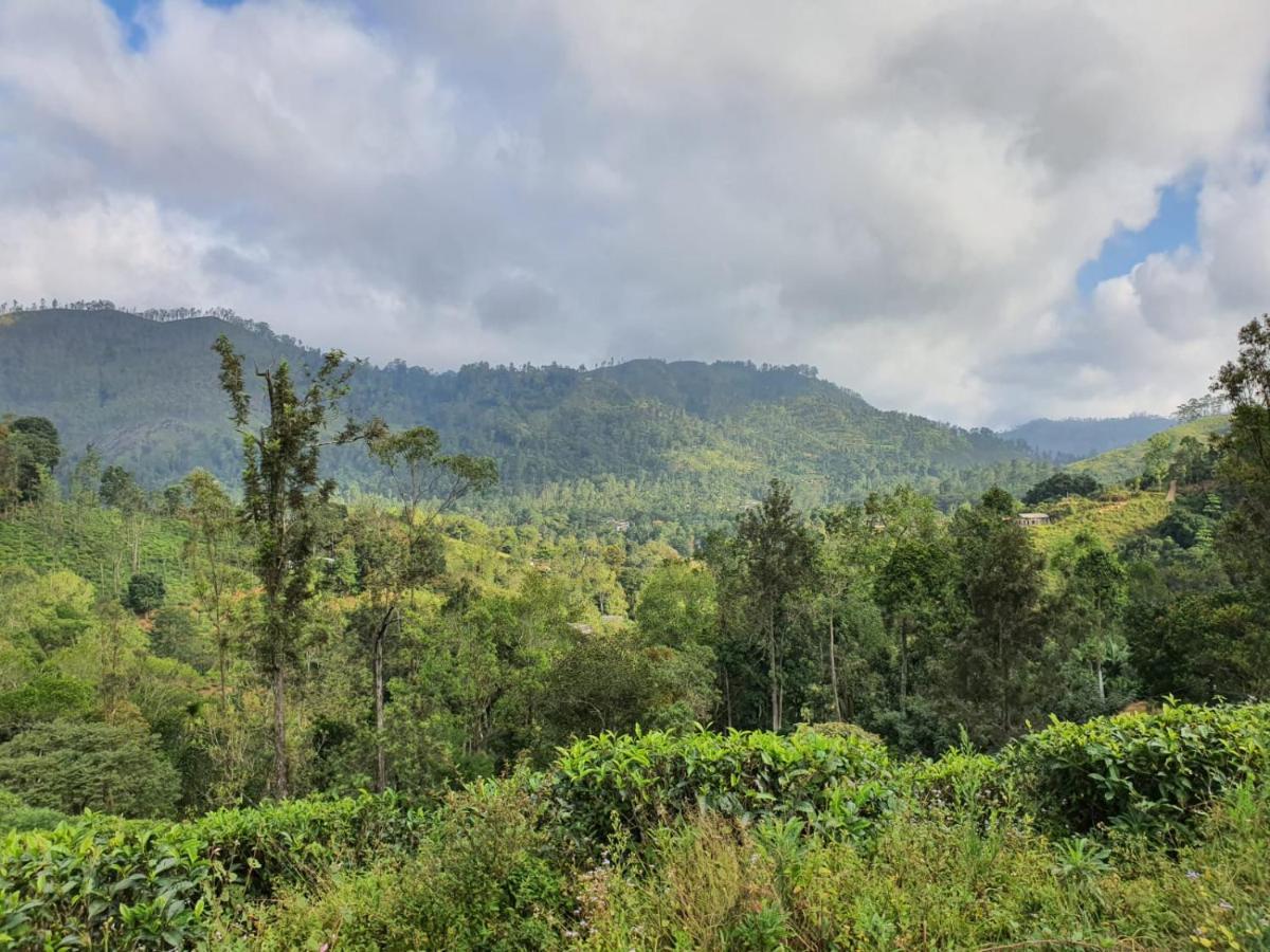 Ella Secret Paradise Luaran gambar
